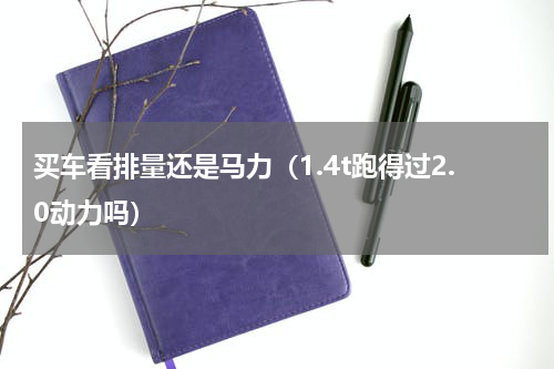买车看排量还是马力（1.4t跑得过2.0动力吗）