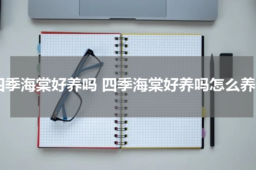 四季海棠好养吗 四季海棠好养吗怎么养