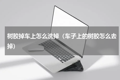 树胶掉车上怎么洗掉（车子上的树胶怎么去掉）