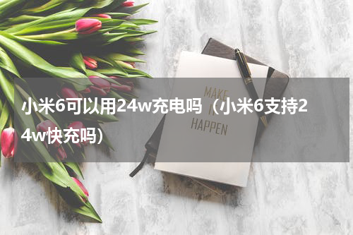 小米6可以用24w充电吗（小米6支持24w快充吗）