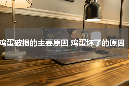 鸡蛋破损的主要原因 鸡蛋坏了的原因