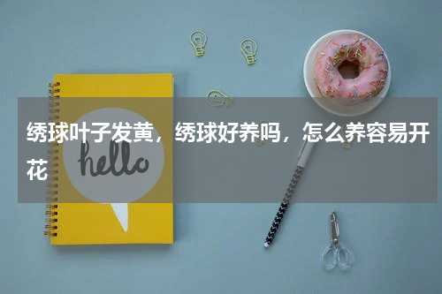 绣球叶子发黄，绣球好养吗，怎么养容易开花