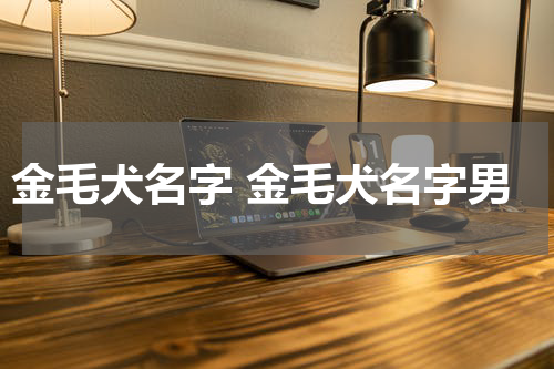 金毛犬名字 金毛犬名字男