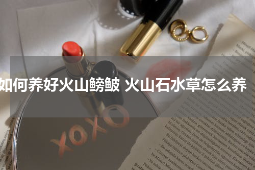 如何养好火山鳑鲏 火山石水草怎么养