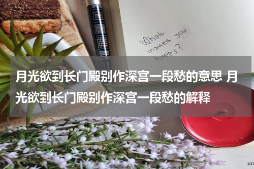 月光欲到长门殿别作深宫一段愁的意思 月光欲到长门殿别作深宫一段愁的解释