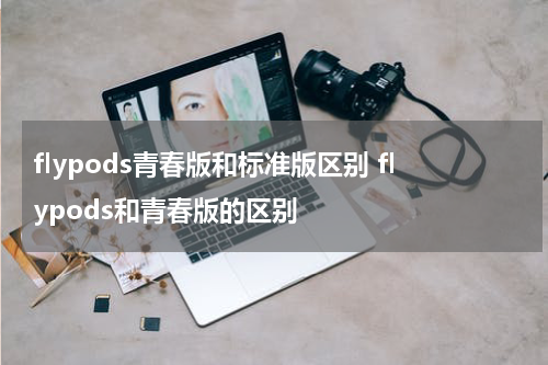 flypods青春版和标准版区别 flypods和青春版的区别