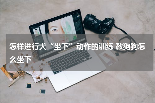 怎样进行犬“坐下”动作的训练 教狗狗怎么坐下