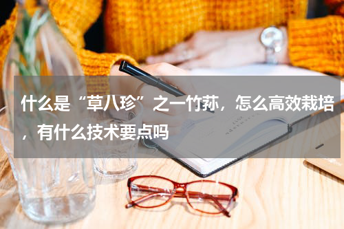 什么是“草八珍”之一竹荪，怎么高效栽培，有什么技术要点吗