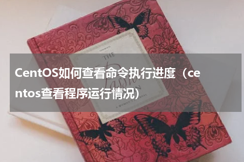 CentOS如何查看命令执行进度（centos查看程序运行情况）
