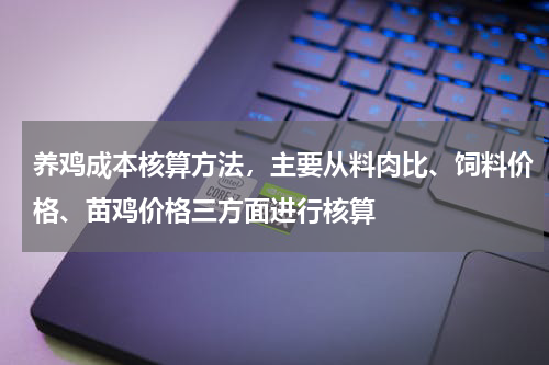 养鸡成本核算方法，主要从料肉比、饲料价格、苗鸡价格三方面进行核算