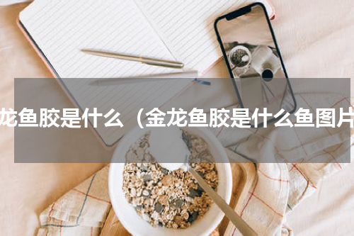 金龙鱼胶是什么（金龙鱼胶是什么鱼图片）