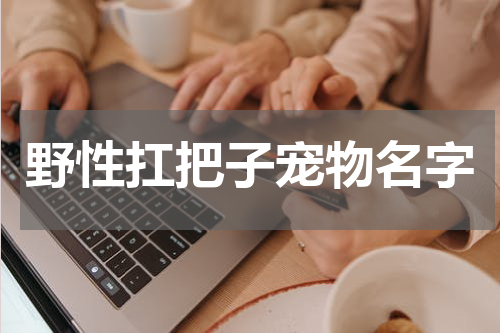 野性扛把子宠物名字