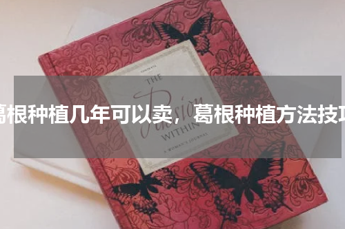 葛根种植几年可以卖，葛根种植方法技巧