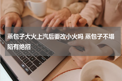 蒸包子大火上汽后要改小火吗 蒸包子不塌陷有绝招