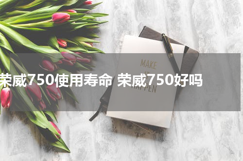 荣威750使用寿命 荣威750好吗