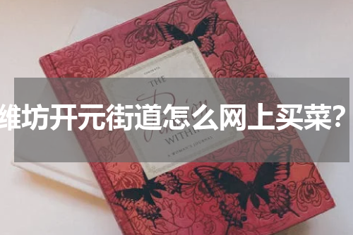 潍坊开元街道怎么网上买菜？