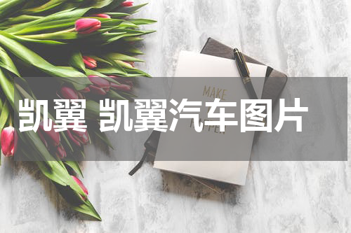 凯翼 凯翼汽车图片