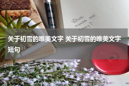 关于初雪的唯美文字 关于初雪的唯美文字短句