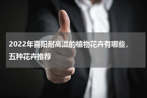 2022年喜阳耐高温的植物花卉有哪些，五种花卉推荐