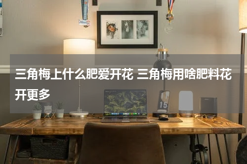 三角梅上什么肥爱开花 三角梅用啥肥料花开更多