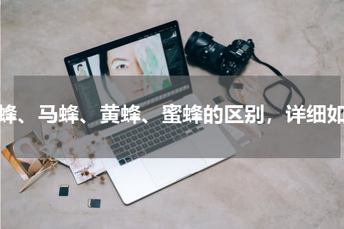 胡蜂、马蜂、黄蜂、蜜蜂的区别，详细如下