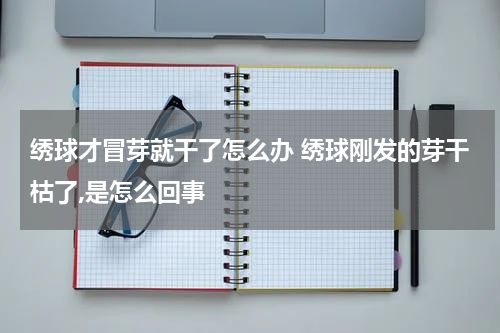 绣球才冒芽就干了怎么办 绣球刚发的芽干枯了,是怎么回事