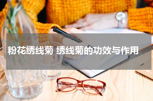 粉花绣线菊 绣线菊的功效与作用