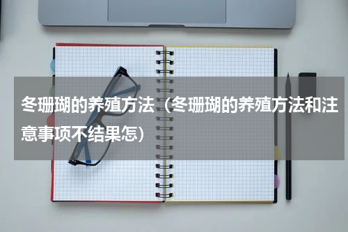冬珊瑚的养殖方法（冬珊瑚的养殖方法和注意事项不结果怎）