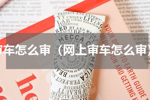 审车怎么审（网上审车怎么审）