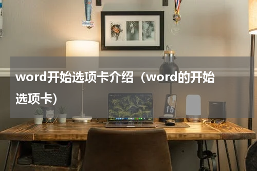 word开始选项卡介绍（word的开始选项卡）