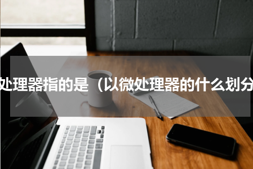 微处理器指的是（以微处理器的什么划分）