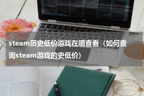 steam历史低价游戏在哪查看（如何查询steam游戏的史低价）