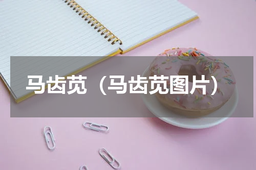 马齿苋（马齿苋图片）