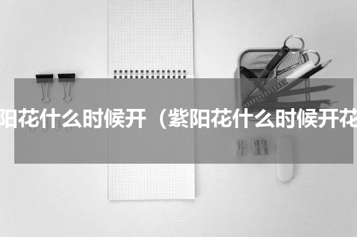 紫阳花什么时候开（紫阳花什么时候开花）