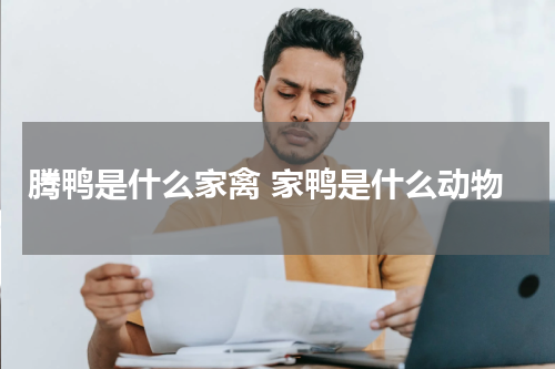 腾鸭是什么家禽 家鸭是什么动物