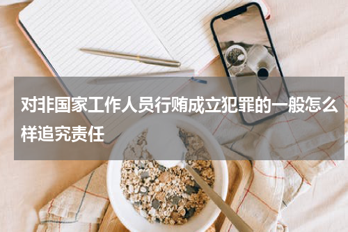 对非国家工作人员行贿成立犯罪的一般怎么样追究责任
