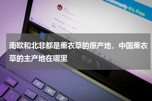 南欧和北非都是薰衣草的原产地，中国薰衣草的主产地在哪里