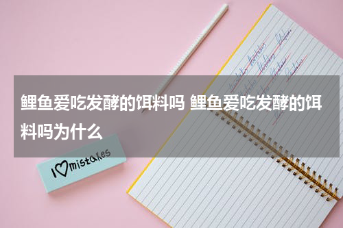 鲤鱼爱吃发酵的饵料吗 鲤鱼爱吃发酵的饵料吗为什么