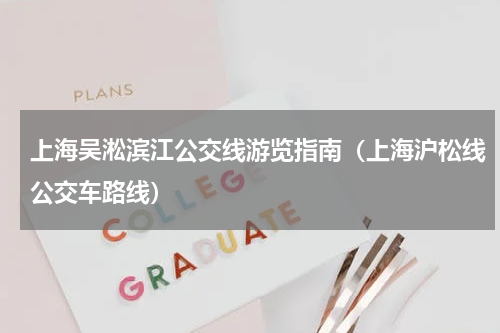 上海吴淞滨江公交线游览指南（上海沪松线公交车路线）