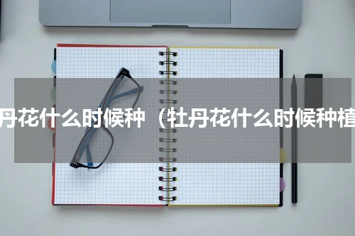 牧丹花什么时候种（牡丹花什么时候种植）