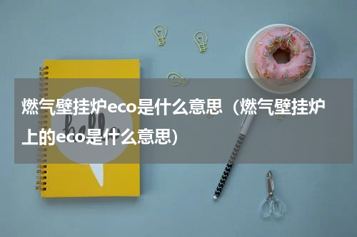 燃气壁挂炉eco是什么意思（燃气壁挂炉上的eco是什么意思）
