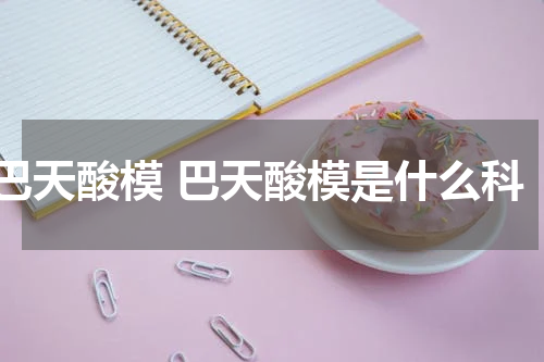 巴天酸模 巴天酸模是什么科