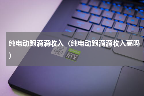 纯电动跑滴滴收入（纯电动跑滴滴收入高吗）