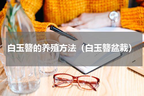 白玉簪的养殖方法（白玉簪盆栽）