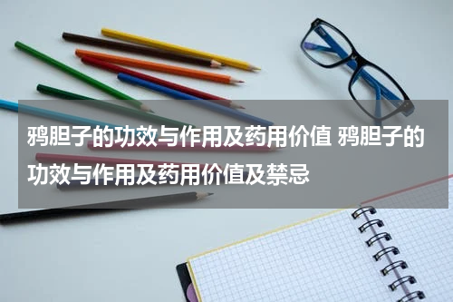 鸦胆子的功效与作用及药用价值 鸦胆子的功效与作用及药用价值及禁忌