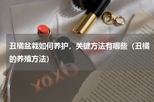 丑橘盆栽如何养护，关键方法有哪些（丑橘的养殖方法）