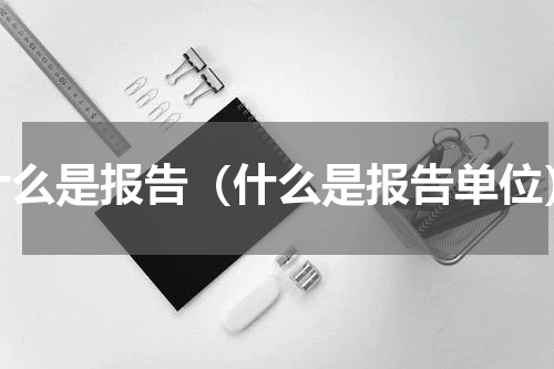 什么是报告（什么是报告单位）