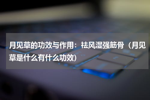 月见草的功效与作用：祛风湿强筋骨（月见草是什么有什么功效）