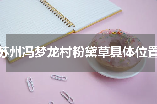 苏州冯梦龙村粉黛草具体位置