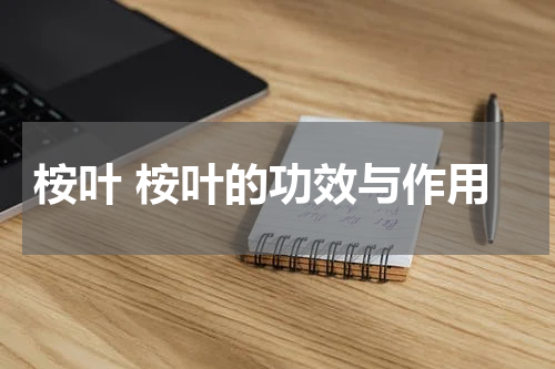 桉叶 桉叶的功效与作用